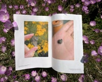 Image 3 of Issue No. 3