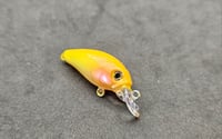 Image 7 of Sunny D Shad