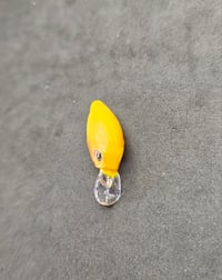 Image 5 of Sunny D Shad