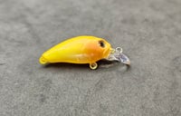 Image 3 of Sunny D Shad