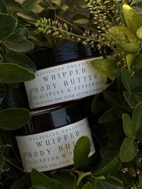 Image 1 of Eucalyptus & Peppermint Body Butter