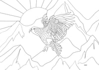 Image 4 of NZ Native Birds Colouring Calendar