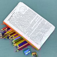 Image 2 of Butterfly Entomology Book Page Pencil Case, Orange