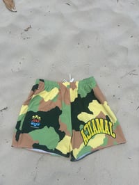 Image 3 of JAMAICA ATHLETIC SHORTS