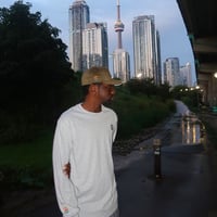 Image 2 of PAN LOGO LS (silver)