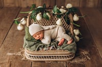 Image 1 of Maple bench