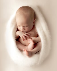 Image 3 of voucher 650
