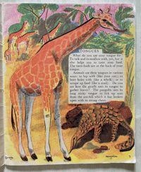 Image 3 of Living Things by Trekkie Ritchie