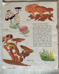 Image 4 of Living Things by Trekkie Ritchie