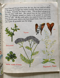 Image 3 of Out of Doors Part One by Elsie Few