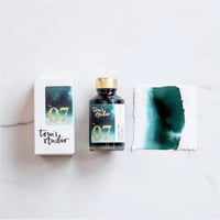 Fountain Pen Ink (Mallard)