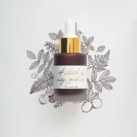 Tom's Studio Calligraphy Ink (Walnut)