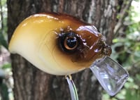 Image 5 of  Custom Airbrushed Crankbait 2774