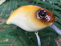 Image 11 of  Custom Airbrushed Crankbait 2774