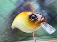 Image 12 of  Custom Airbrushed Crankbait 2774