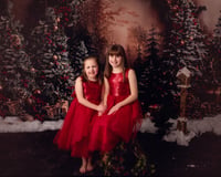 Image 5 of CHRISTMAS MINI SESSION DEPOSIT - 2025