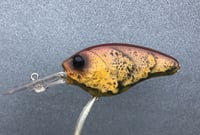 Image 1 of  Custom Airbrushed Crankbait 9734