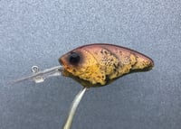 Image 6 of  Custom Airbrushed Crankbait 9734