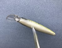 Image 2 of Custom Airbrushed Jerkbait 5062