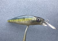 Image 4 of Custom Airbrushed Jerkbait 5062