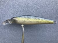 Image 5 of Custom Airbrushed Jerkbait 5062