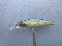 Image 7 of Custom Airbrushed Jerkbait 5062