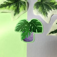 Image 1 of Monstera Waterproof Vinyl Sticker