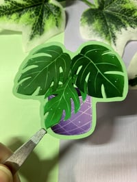 Image 2 of Monstera Waterproof Vinyl Sticker