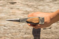 Image 5 of Hachette comtoise