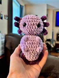 Purple Riley The Axolotl 