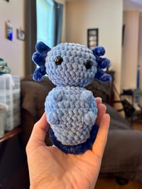 Blue Riley The Axolotl 