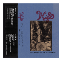 Image 1 of Wife - The Importance of Day Dreaming TAPE