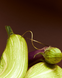 Image 1 of Bracciale Nubila