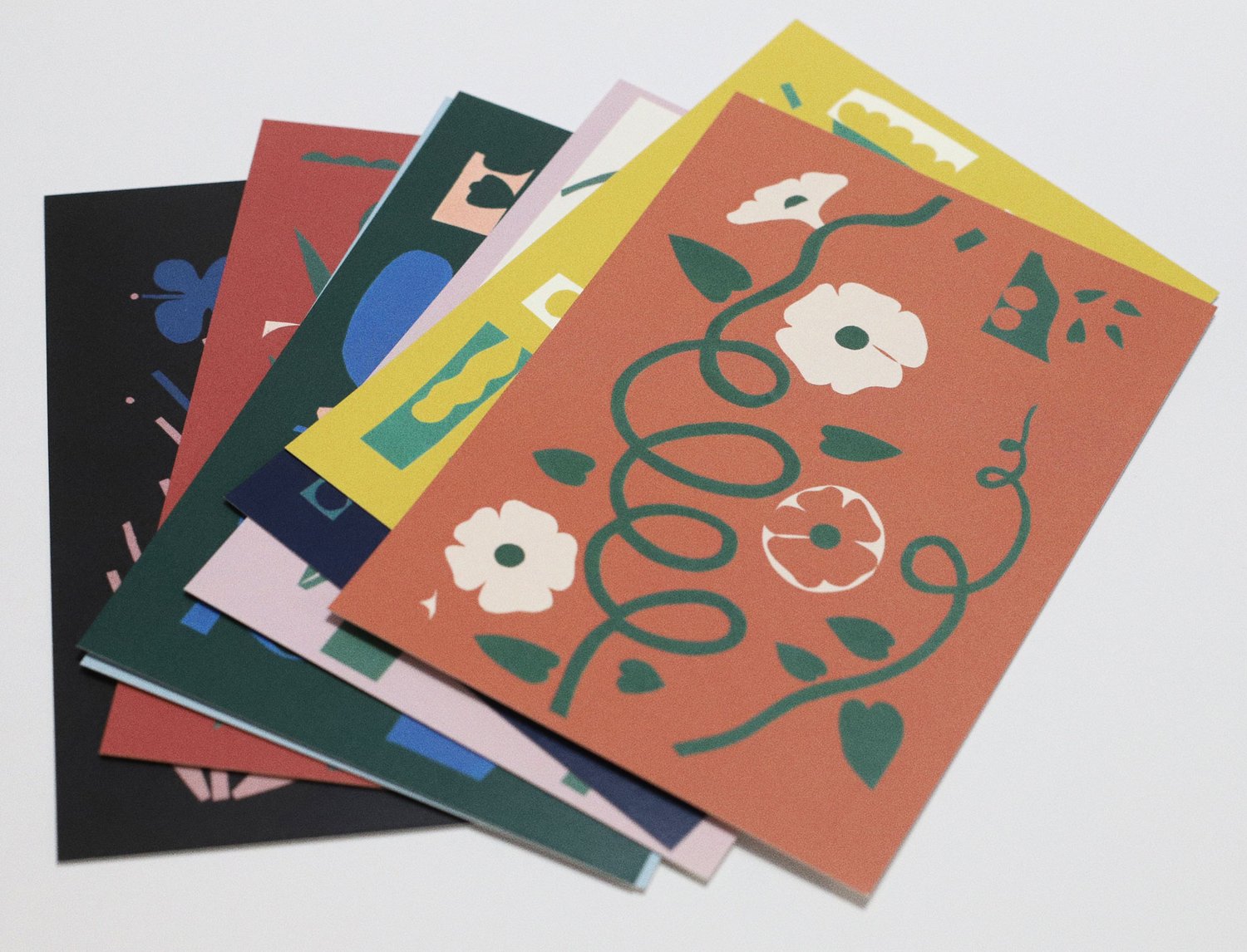 Image of COLOR FLOWERS SET OF POSTCARDS