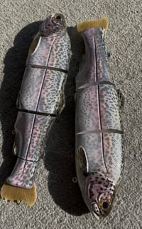 Image 2 of Immortal Trout 11.0 “Shū Tier Trout”