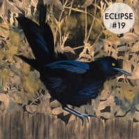 Image 8 of Grackle Prints by Carly Weaver - Fine Art Print on Wood