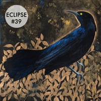 Image 9 of Grackle Prints by Carly Weaver - Fine Art Print on Wood