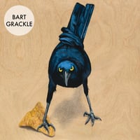 Image 2 of Grackle Prints by Carly Weaver - Fine Art Print on Wood