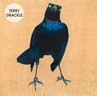 Image 3 of Grackle Prints by Carly Weaver - Fine Art Print on Wood