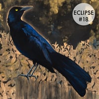 Image 7 of Grackle Prints by Carly Weaver - Fine Art Print on Wood