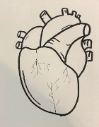 Image 12 of Design your own: Art Therapy Kit 