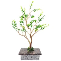 Image 1 of Town Square