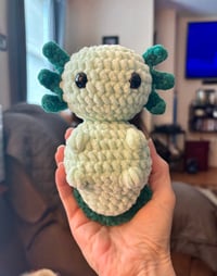 Green Riley The Axolotl 