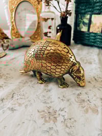 Image 1 of armadilloooo ~ for Jayna :)