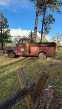 Image 3 of November 16 | Forest Bend Holiday Minis  ($50 deposit only)