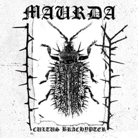 Image 1 of Maurda "Cultus Brachypter" LP