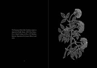 Image 4 of Lady Elder Tree: Northern Plant Animism & Witchcraft, 2nd Edition 