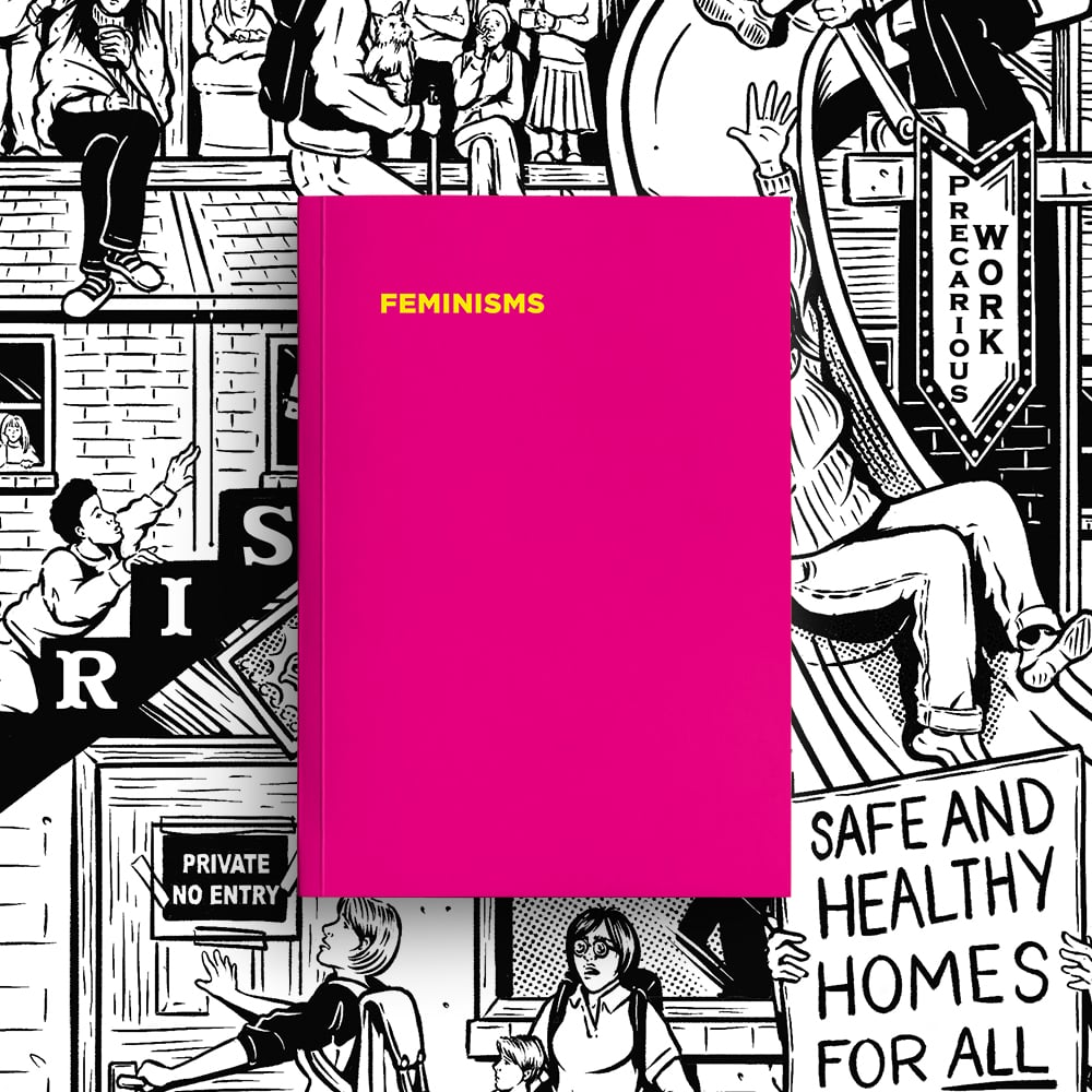 Feminisms 