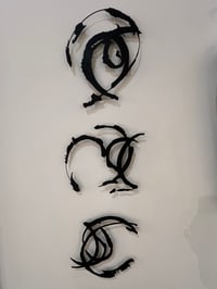 Image 3 of C SS P M en volume