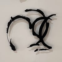 Image 2 of C SS P M en volume